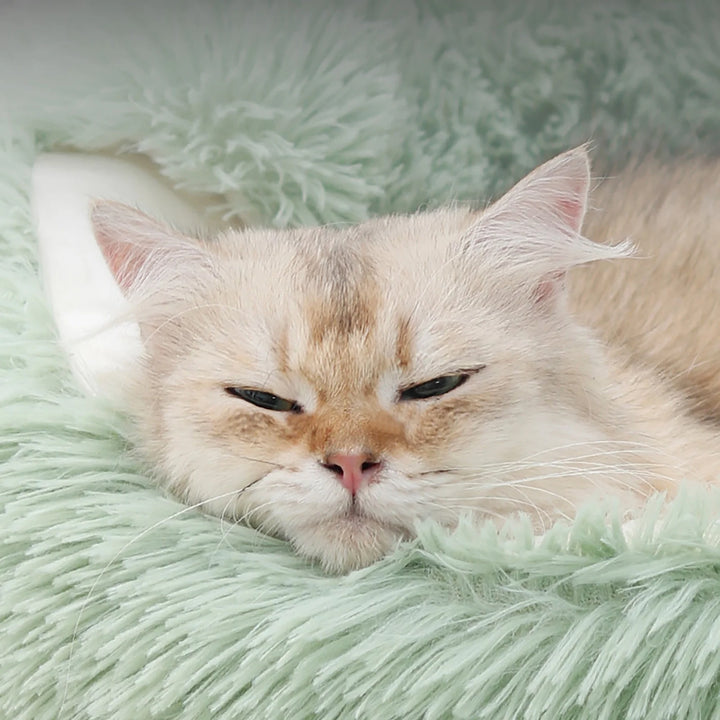 Calming Dog Beds and Cat Cave Bed with Hooded Cover,Removable Washable round Beds for Small Medium Pets,Anti-Slip Faux Fur Fluffy Coved Bed for Improved Sleep,Fits up to 11 Lbs