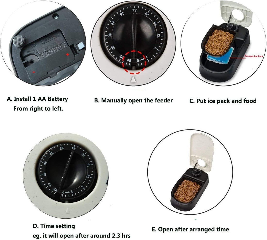 Automatic Pet Feeder for Dogs and Cats