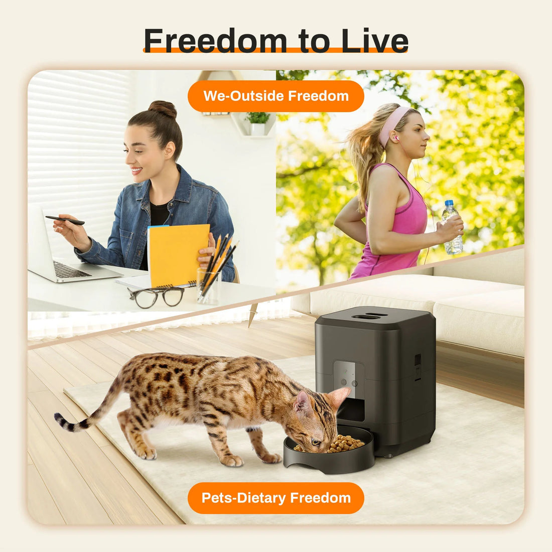 Pet Timing Quantitative Remote Automatic Feeder