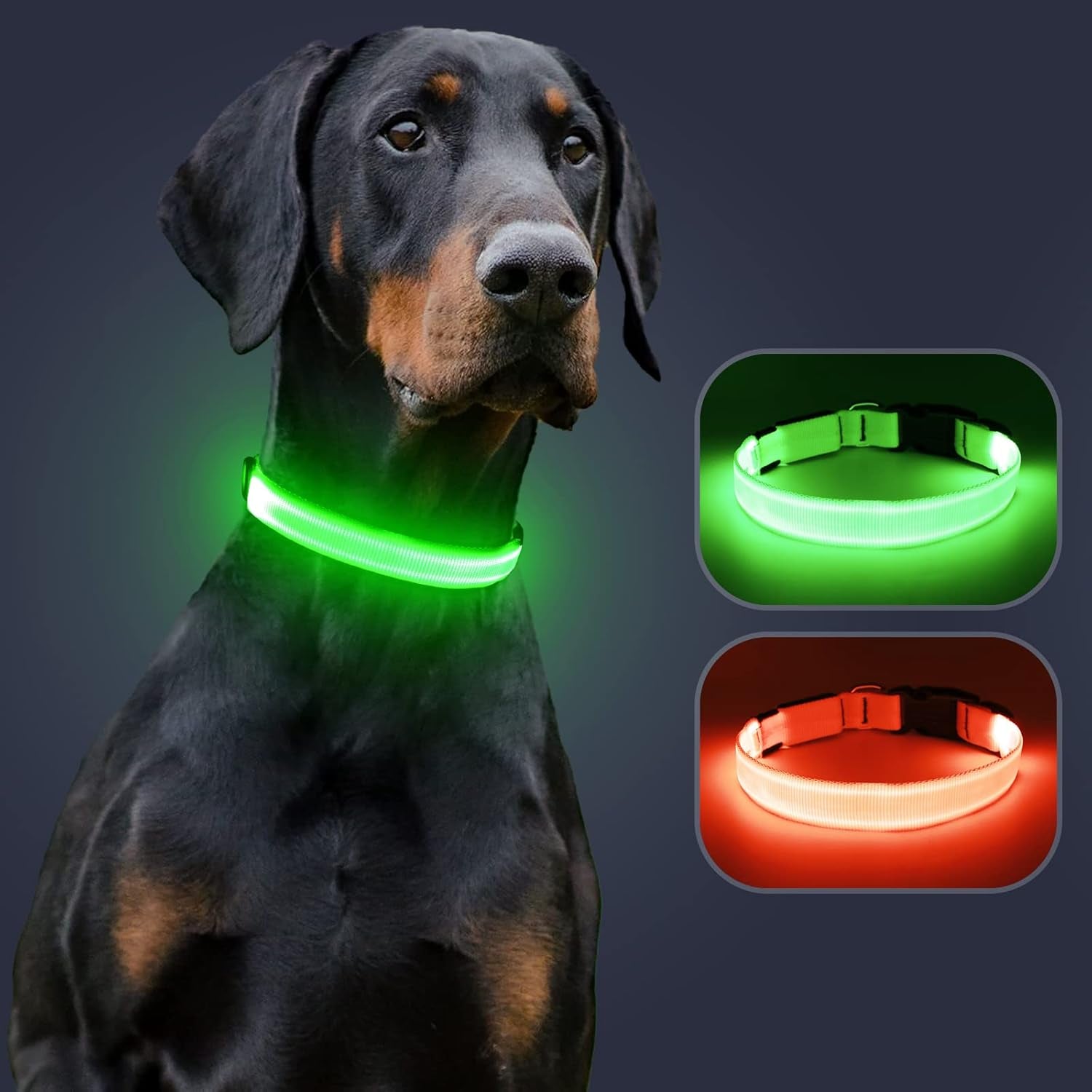 LED Dog Collar - Adjustable, Rechargeable, Waterproof