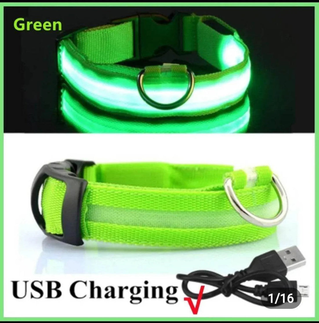 Rechargeable L.E.D Light up Safety Dog Collar