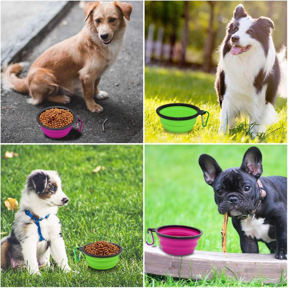 Dog Bowl Pet Collapsible Bowls