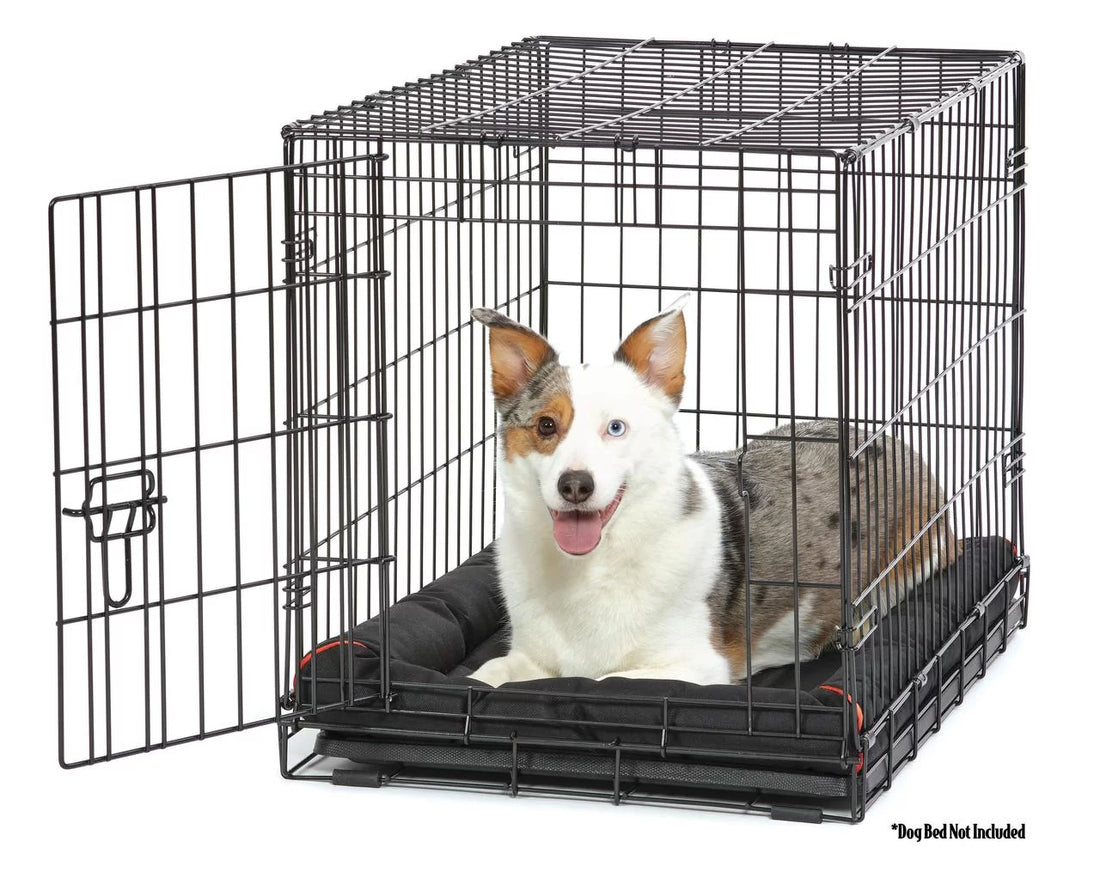 Wire Dog Crate, Single-Door, Divider and Leak-Proof Tray, Metal, Foldable, Durable, Black, 30"