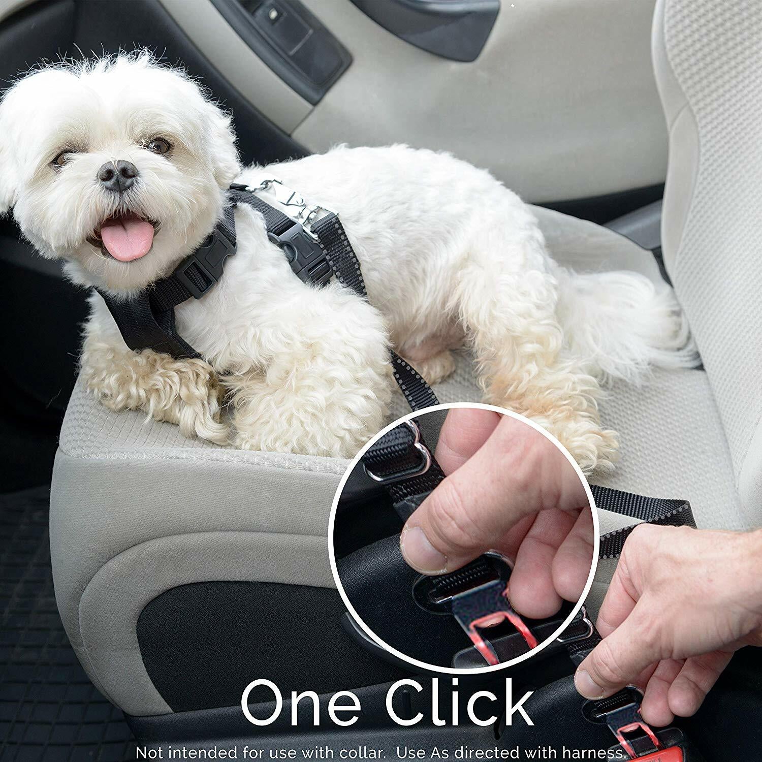 Dog Seat Belt Leash Pet Seatbelt Car ELASTIC Safety Adjustable Harness 2 Pack