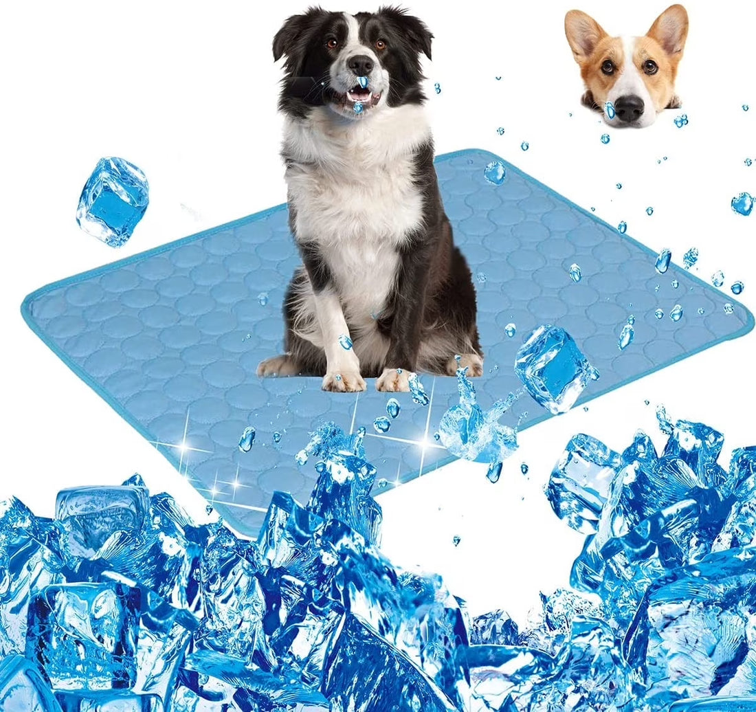 Summer Cooling Mat for Dogs,Ice Silk Pet Self Cooling Mat for Sleeping Indoor (19.7X24.4" , Blue)