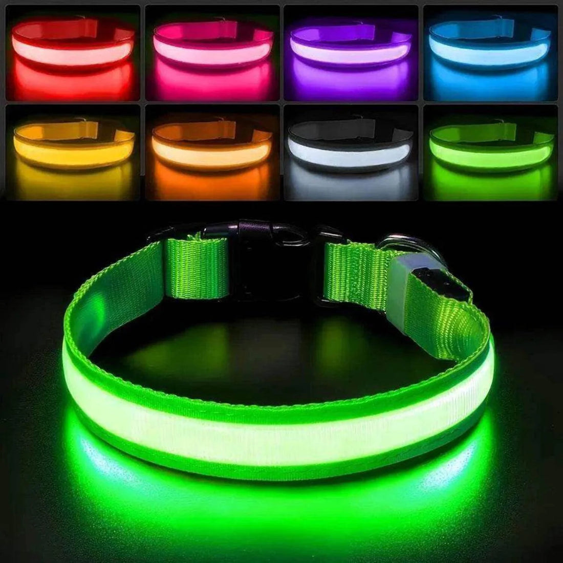 Rechargeable L.E.D Light up Safety Dog Collar
