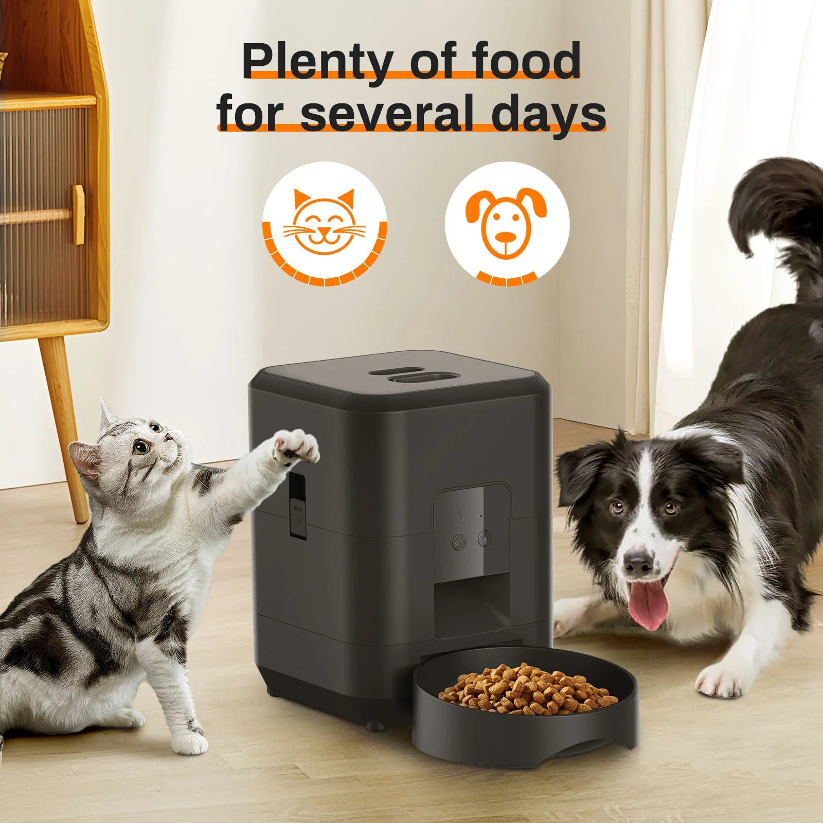 Pet Timing Quantitative Remote Automatic Feeder