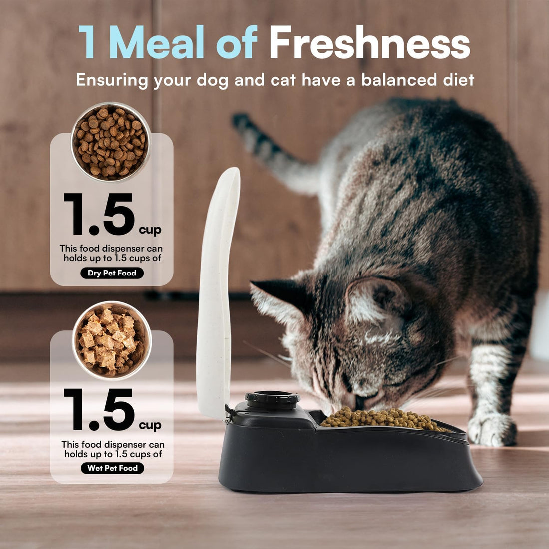 Automatic Pet Feeder for Dogs and Cats