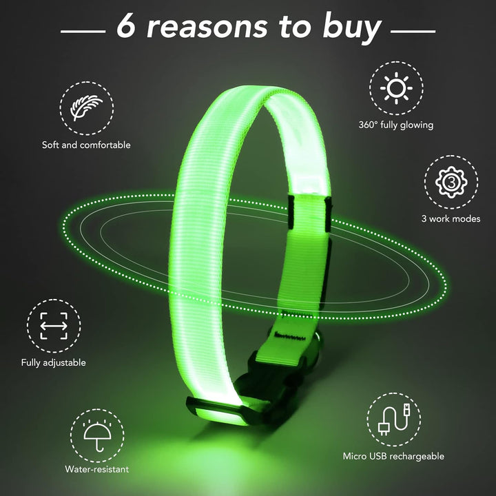 LED Dog Collar - Adjustable, Rechargeable, Waterproof